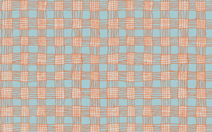 Kaffe Fassett Collective - Gingham - PWBM089 - Grey