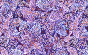 Kaffe Fassett August 2024 - Fittonia - PWPJ129 Blue