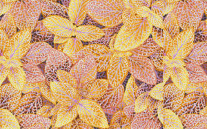 Kaffe Fassett August 2024 - Fittonia - PWPJ129 Gold