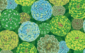 Kaffe Fassett August 2024 - Japonica - PWPJ130 Green