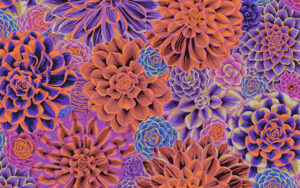 Kaffe Fassett Collective - House Leeks - PWBJ113 - Purple